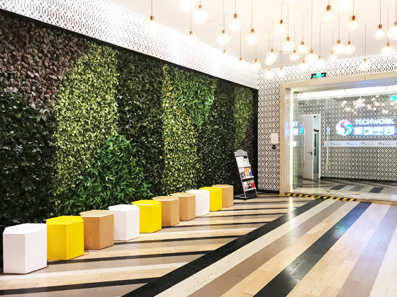 泰创空间联合办公空间大厅植物墙工程