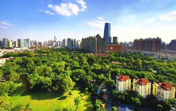 上海市绿化养护等级质量标准